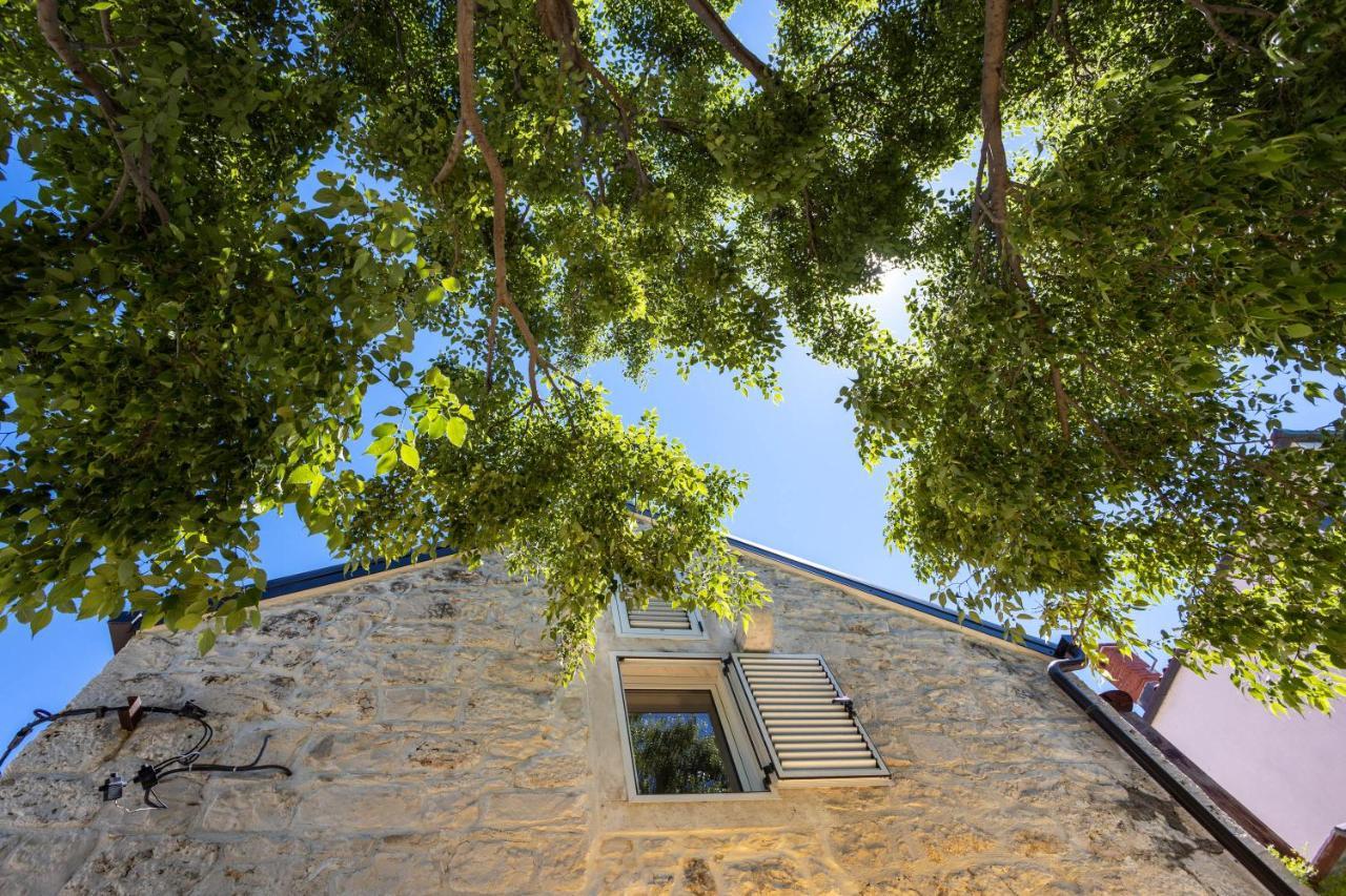 Apartments "Lory" -Baška Voda Exterior foto